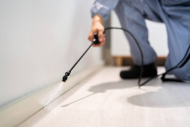 Rodent Entry Point Assessment in Hainesville