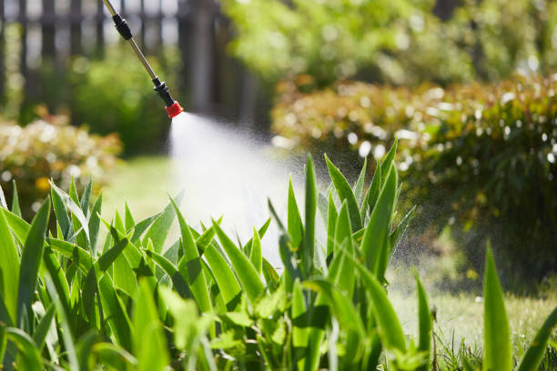 Tamper-Resistant Bait Stations for Rodents in Hainesville