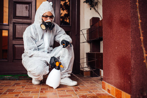 Attic and Crawl Space Rodent Treatment in Hainesville