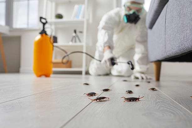 Commercial Rodent Management in Hainesville